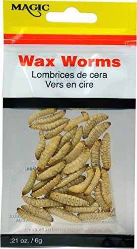 Magic Bait MAG5239 Preserved Waxworm 35 Per Bag Yellow