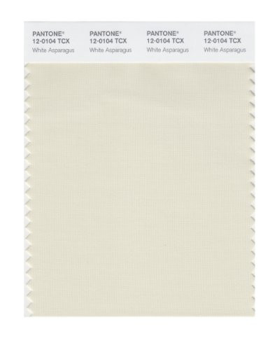 PANTONE SMART 12-0104X Color Swatch Card, White Asparagus
