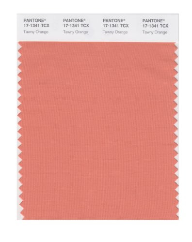 PANTONE SMART 17-1341X Color Swatch Card, Tawny Orange