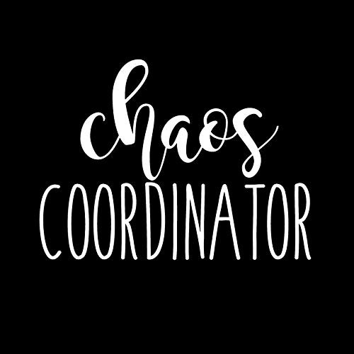 Chaos Coordinator Funny Decal Vinyl Sticker Cars Trucks Vans Walls Laptop  White  5.5 x 4.1 in DUC330