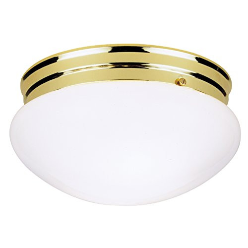 Westinghouse Lighting Corp 2-Light Ceiling Fixture, Polished Brass