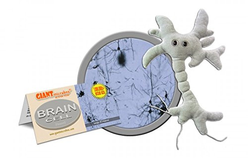 Giant Microbes Brain Cell (Neuron) Plush Toy