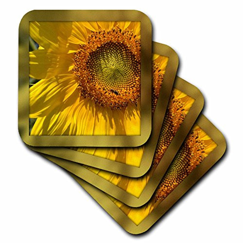 3dRose cst_32648_1 Framed Yellow Sunflower Flowers Photography-Soft Coasters, Set of 4