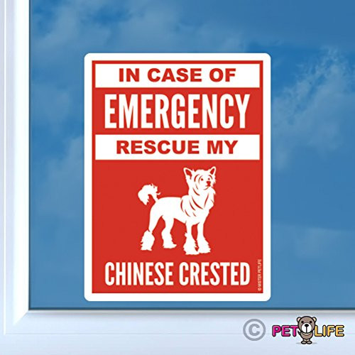 Mister Petlife in Case of Emergency Rescue My Chinese Crested Sticker Vinyl Auto Window 2 Dog Safety Puff