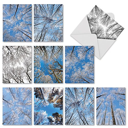 M10017XB SNOW TOPS: 10 Assorted Blank Note Cards: 10 Assorted Blank All Occasions Notecards With Envelopes.