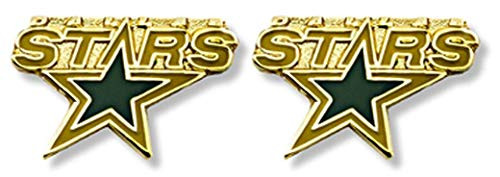 Aminco NHL Dallas Stars Logo Post Earrings