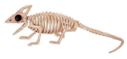 Crazy Bonez Skeleton Lizard