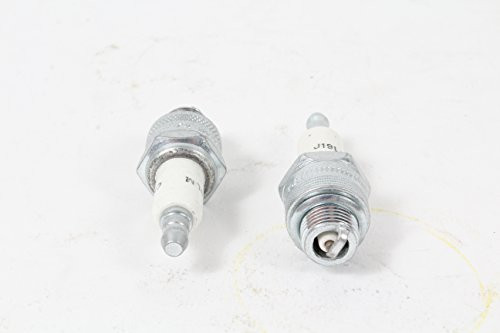 Champion 2 Pack Genuine J19LM Spark Plug Copper Plus 861