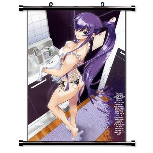Anime Wall Scrolls High School of The Dead Poster  16 x 23  Inches