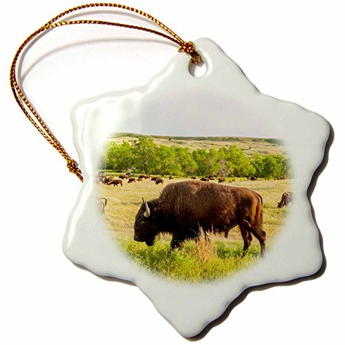 3dRose USA, South Dakota, Custer State Park Bison Herd Roaming Snowflake Ornament, 3"