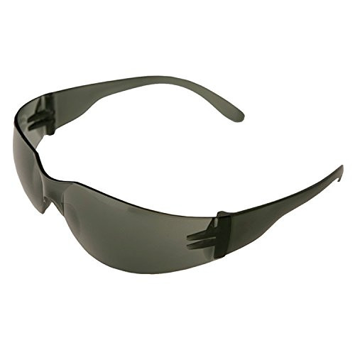 ERB 17994 Safety Iprotect 2.0 Reader Lens One Size Smoke