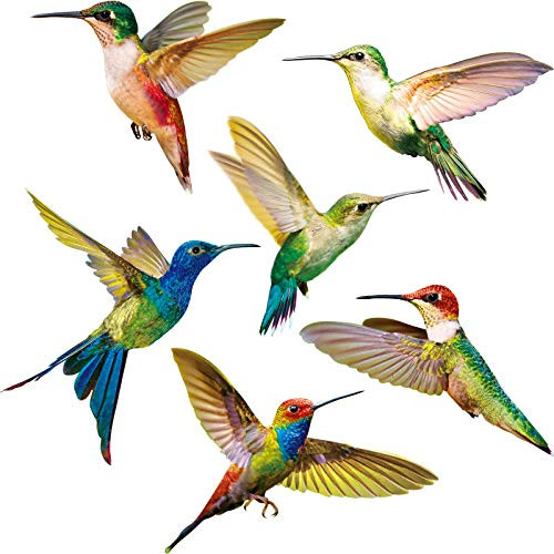 6 Pieces Large Size Hummingbird Window Clings Anti-Collision Window Clings Decals to Prevent Bird Strikes on Window Glass Non Adhesive Vinyl Cling Hummingbird Stickers 6 Pieces Large Size Hummingbird Window Clings Anti-Collision Window Clings Decals to Prevent Bird Strikes on Window Glass Non Adhesive Vinyl Cling Hummingbird Stickers