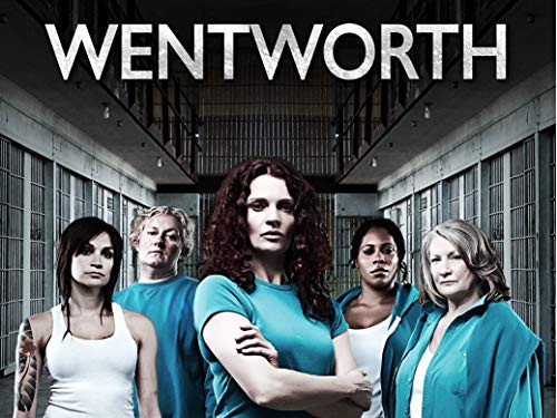 HandTao Wentworth Tv Season Show Fabric Cloth Wall Poster Photo Print 17x13 Inch