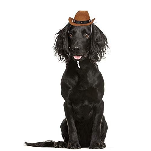 POPETPOP Mini Cowboy Hat - Pet Dog Cowboy Costume Funny Dog Hat Pet Costume Accessory  Coffee Random Bead Color