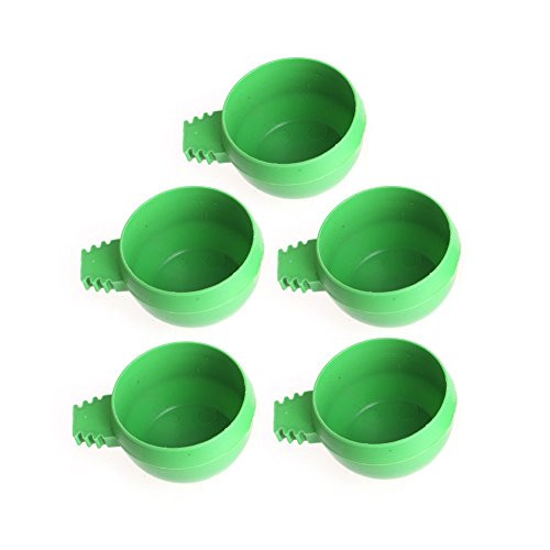 Wodwad Mini Bird Parrot Food Water Bowl Feeder Plastic Pigeons Birds Cage Sand Cup Feeding Holder  5Pcs L