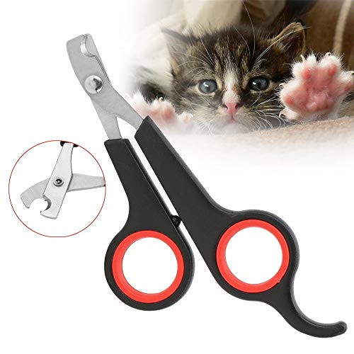 WanXingY Cat and Dog Grooming Nail Clippers Stainless Steel Dog Cat Claw Nail Clippers Pet Toe Care Puppy Nail Clippers Trimmer Cutter  Color  Black Size  S WanXingY Cat and Dog Grooming Nail Clippers Stainless Steel Dog Cat Claw Nail Clippers Pet Toe Care Puppy Nail Clippers Trimmer Cutter  Color  Black Size  S