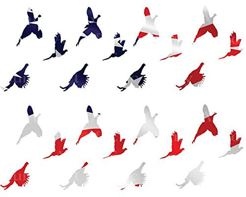 Patriotic Pheasant Hunting - Cake Side Strip - Edible Cake Cupcake Party Topper - D22632