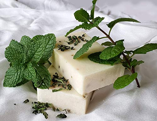 Basil and Sage soap with peppermint oatmeal sea salt Basil and Sage soap with peppermint oatmeal sea salt