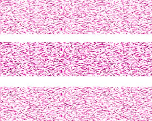 Pink Paisley - Cake Side Strip - Edible Cake Cupcake Party Topper - D22131