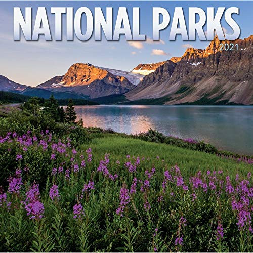 Turner Licensing 2021 National Parks Mini Wall Calendar