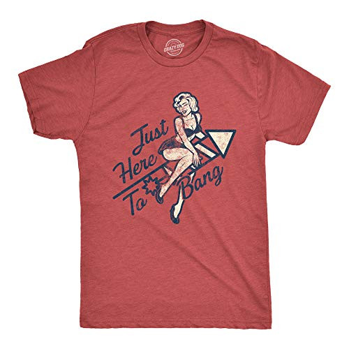 Mens Just Here to Bang Tshirt Funny Firework 4th of July USA Graphic Tee  Heather Red  - M