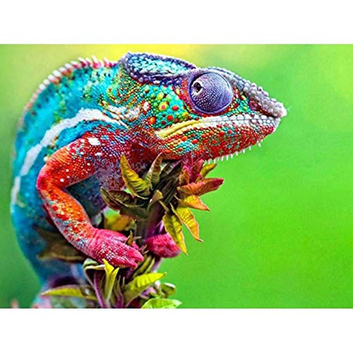 5D Diamond Painting Animal Paint with Diamonds DIY Diamond Art Colorful Lizard Diymood painting by Number Kits Full Drill Rhinestone for Home Wall Decor 12x16inch