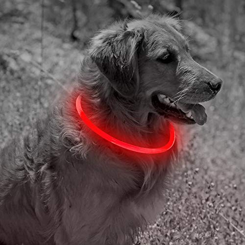 Fashion Light up Collar - USB Rechargeable LED Dog Collar for Night Safety Adjustable Glowing Pet Dog Collar for Small Medium Large Dogs  Red