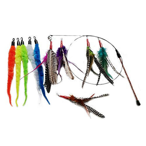 Jkshop 10pcsxCat Replacement Toy Interactive Cat Toys Wand with 1Poles  and  9 Attachments Worm Bird Feathers Cat Feather Teaser Wand Toy for Kitten Cat Having Fun Exercise Playing