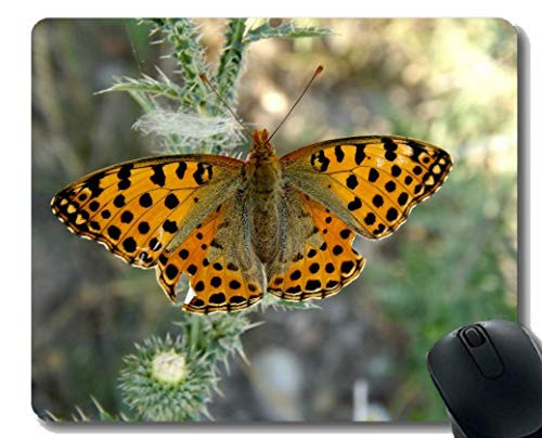 Non-Skid Natural Rubber Mouse PadsButterfly Garden Butterfly Wings Insect Mouse Pads