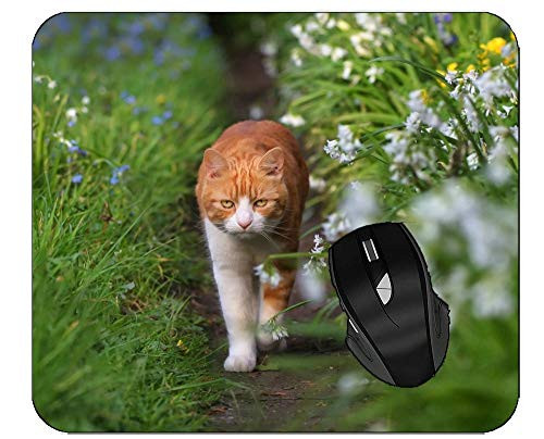 Mousepads Depth of Field Cat Grass Garden Gaming Mouse Pad