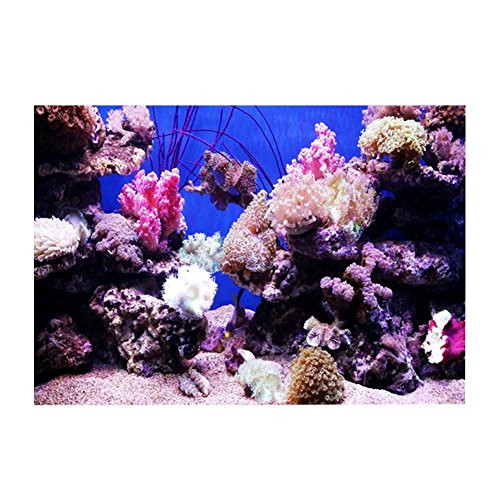 GLOGLOW Aquarium Background Sticker 3D Effect Coral Seaworld Landscape Image PVC Sticker Singel-Sided Adhesive Wallpaper Background Poster Aquarium Wall Decorations 61x41cm