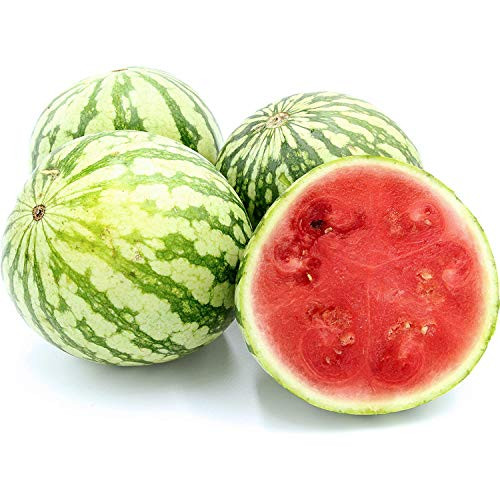 UtopiaSeeds Sugar Baby Watermelon Seeds - Small Delicious Watermelon