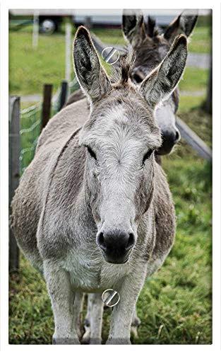 Single-Gang Blank Wall Plate Cover - Donkey Animal Beast Of Burden Meadow Ears Creature