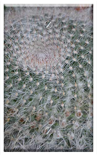 Single-Gang Blank Wall Plate Cover - Cactus Plant Spicy Thorns Plant Botany Garden