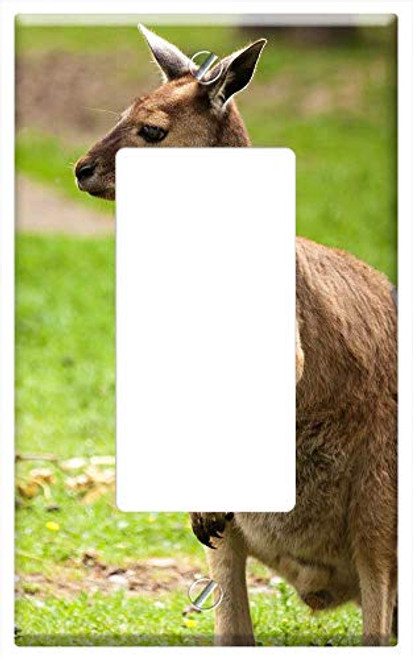 Switch Plate Single Rocker GFCI - Animal Australia Australian Brown Ears Fauna Fur Switch Plate Single Rocker GFCI - Animal Australia Australian Brown Ears Fauna Fur
