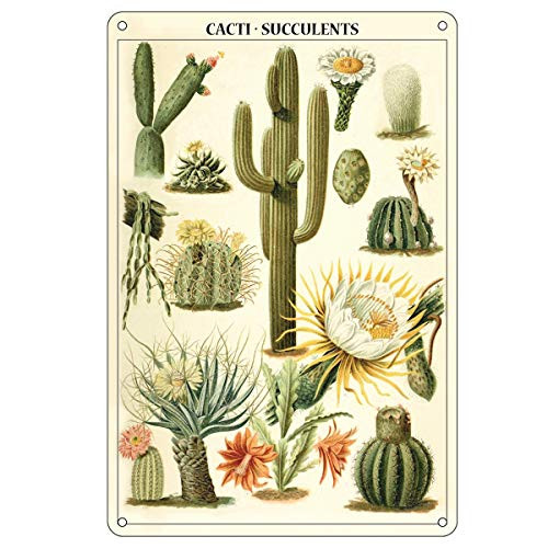 BellowDeer Vintage Cactus Botanical Illustration Metal Tin Sign Retro Home Kitchen Sign Wall Art Farmhouse Country Kitchen Wall Decor 8X12Inch