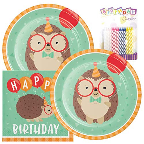 Hedgehog Party Themed Party Pack  Includes Paper Plates  and  Luncheon Napkins Plus 24 Birthday Candles  Serves 16