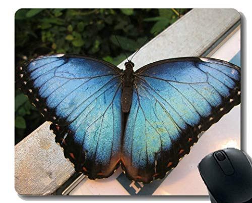 Mouse PadsAnimal Motte Butterfly Blatta Insect Leaf Garden Mouse Pad with Stitched Edge