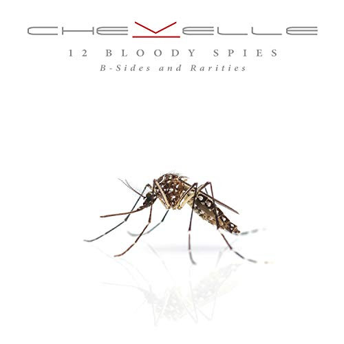 12 Bloody Spies B-sides and Rarities 12 Bloody Spies B-sides and Rarities