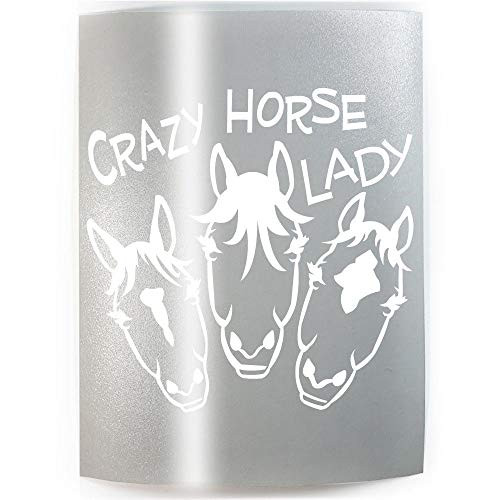 CRAZY HORSE LADY 2 FACES - PICK COLOR  and  SIZE - Horse Rider Vinyl Decal Sticker A