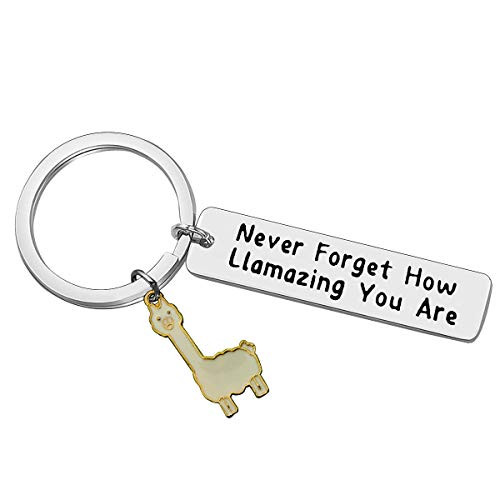 Llama Keychain Llama Gift Never Forget How Llamazing You are Keychain for Women Alpaca Gifts Animal Lover Gift Inspiring Inspired Motivational Keychains for Womenbirthday gift for friends Llama Keychain Llama Gift Never Forget How Llamazing You are Keychain for Women Alpaca Gifts Animal Lover Gift Inspiring Inspired Motivational Keychains for Womenbirthday gift for friends