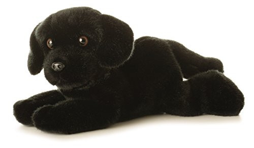 Aurora 12" Cole Flopsie