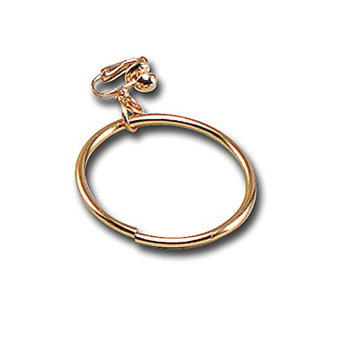 Bristol Novelty BA067 Pirate Earring Mens One Size