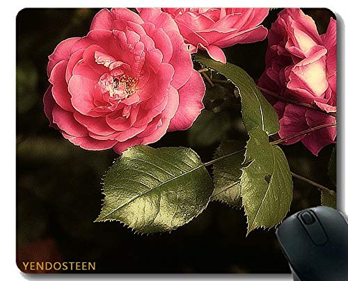 YENDOSTEEN Gaming Mouse Pad CustomRose Flower A Flower Garden Pink Rose Rosebush Mouse Pad with Stitched Edge