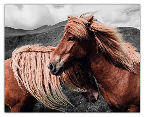 Horses Wall Art Print -  8x10  Unframed Picture For Home Office Dorm  and  Chic Bedroom Decor - Great Gift Idea Under 15