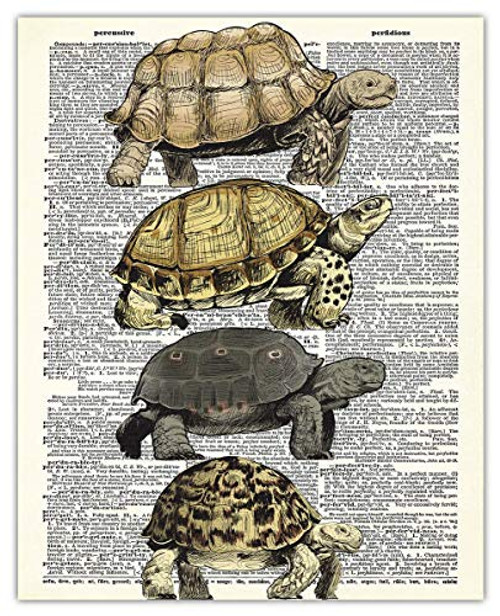 Turtles Dictionary Wall Art Print -  8x10  Unframed Picture For Home Office Dorm  and  Bedroom Decor - Great Gift Idea Under 15