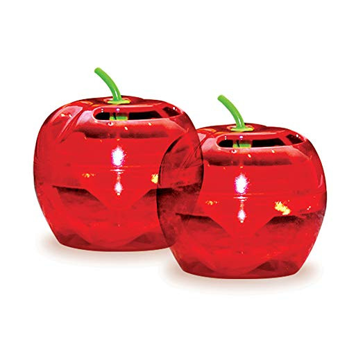 Raid Flytrap 2PK-FFTA Apple Fruit Fly Traps 2 pk Red