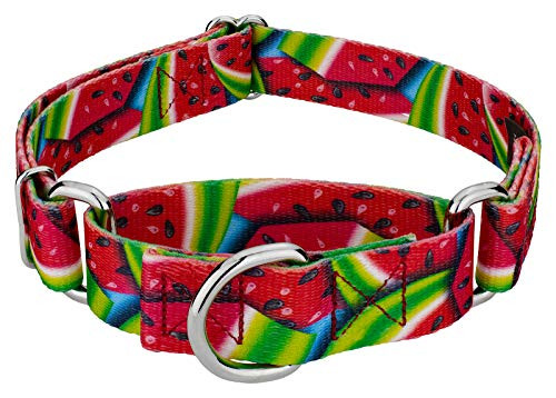 Country Brook Petz - Summer Melon Martingale Dog Collar - Mini