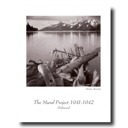 Ansel Adams B W Photo Driftwood Picture Art Print