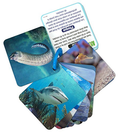 Animal Planet 3D Flash Cards - Marine Animals Animal Planet 3D Flash Cards - Marine Animals